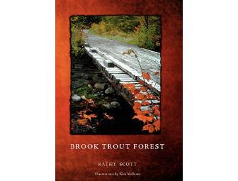 A Signed Collection of the Books by Author Kathy Scott