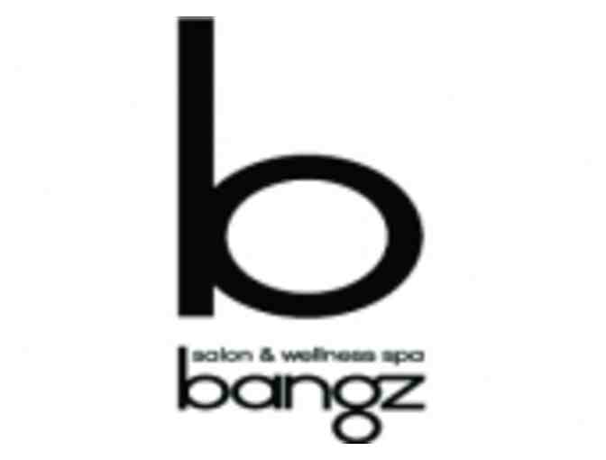 Hair care products & Awapuhi Wild Ginger Keratriplex Treatment from Bangz