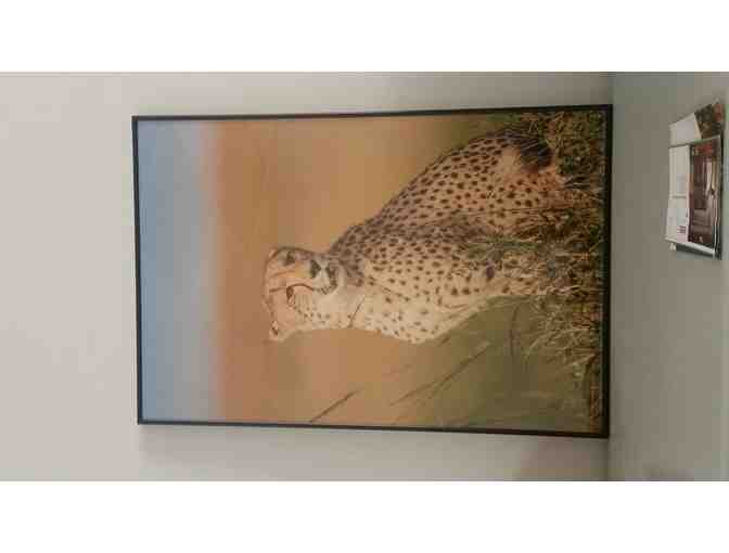 Technicolor Cheetah Photo - Framed & Glass Protected