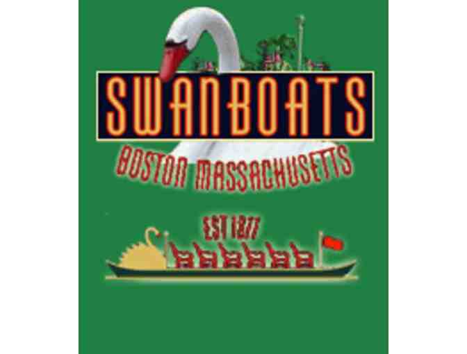 Swan Boats!