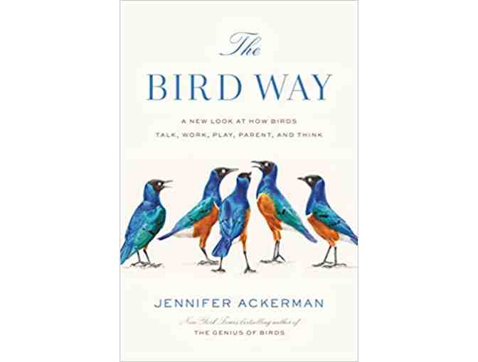 KOWA Birding Binoculars plus 'The Bird Way' book of bird behavior