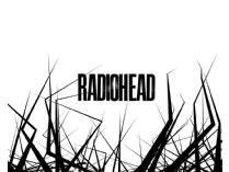 Two Radiohead CD's