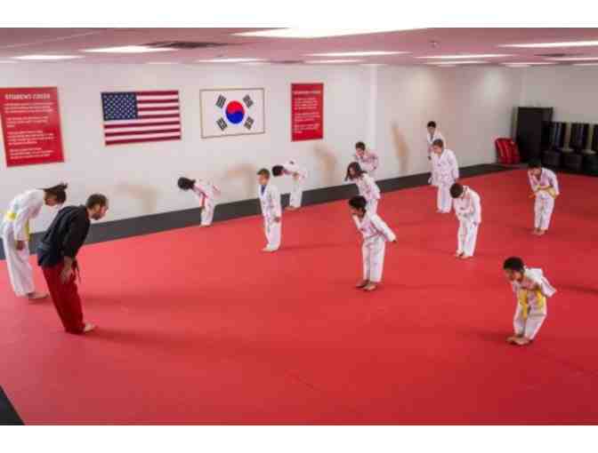 Achieve Taekwondo - A Kickin' Taekwondo Birthday - Photo 3