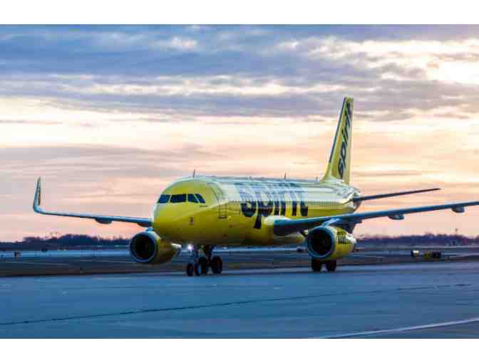 Two RT tickets on Spirit Airlines - domestic and international travel