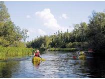 Guided Kayak Trip on the Red Cedar (or Grand River