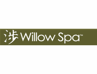 Willow Spa Facial
