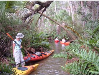 Guided River Tour in Florida (kayak or canoe) (I)