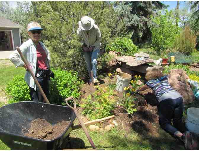 3 Hours of Planting, Weeding, Rejuvenating & More for Your Garden (Denver Metro area)