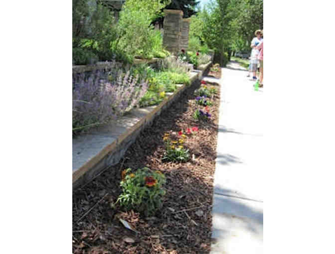 3 Hours of Planting, Weeding, Rejuvenating & More for Your Garden (Denver Metro area)