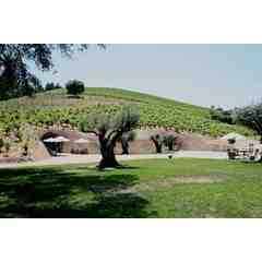 Bella Vineyard Wine Caves