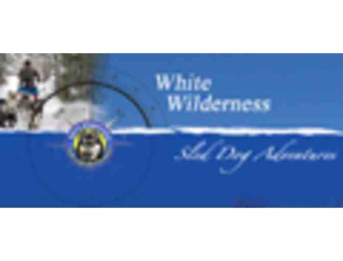 WHITE WILDERNESS SLED DOG DAY TRIP FOR 2 - ELY, MN