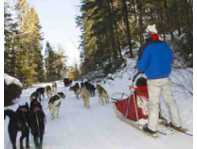 WHITE WILDERNESS SLED DOG DAY TRIP FOR 2 - ELY, MN