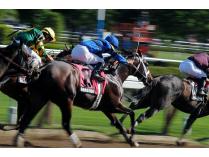 Racing Package at Saratoga Springs during opening weekend