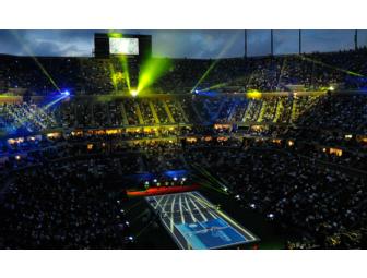 4 tickets to the US Open Tennis Championships (during the first week)