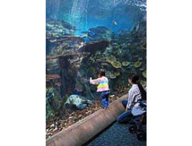 Aquarium of the Pacific -- 2 Admission Tickets (#1)
