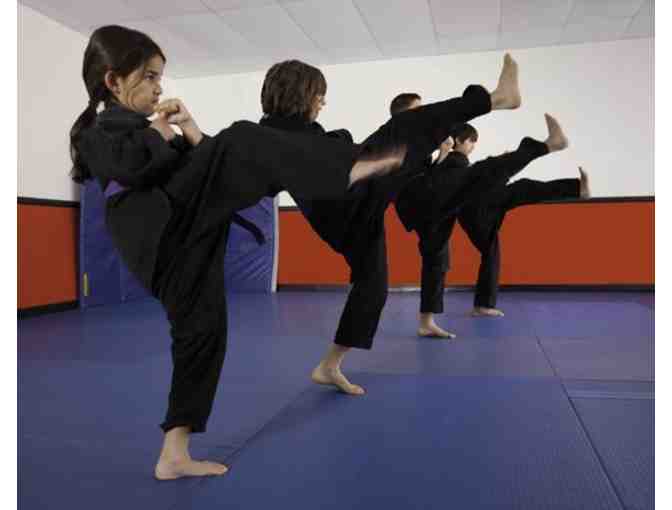 Brentwood Martial Arts - One Month of Group and Private Lessons