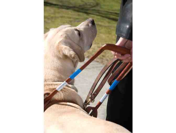 **Guiding Eyes Trainer for a Day**