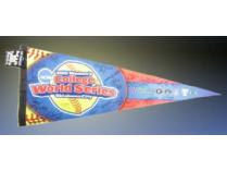 2010 Women's College World Series Team Autographed Pennant