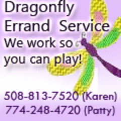 Dragonfly Errand Service