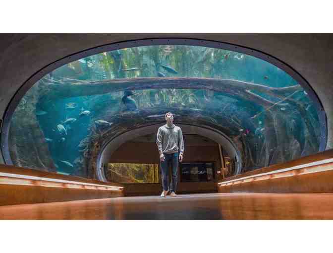 Seattle Aquarium for Four