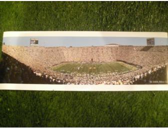 LaMarr Woodley autographed oversized photo of the Big House