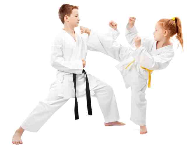 Karate Lessons for One (1) Month