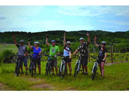 Cycle the Vineyards Tour Guided Bike Tour for Four