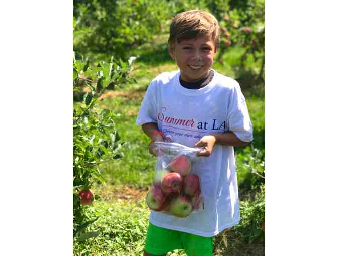 Lawrence Academy Summer Programs - One week of Camp ($450 value, see options below)