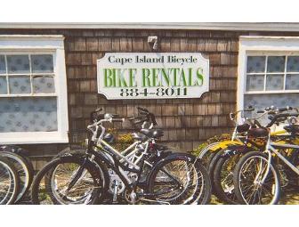 Bicycle Rental, Tour Book and Lunch