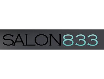 $150 Gift Certificate from Salon 833