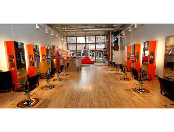 Haircut & Color at Art & Science Salon in Lincoln Park