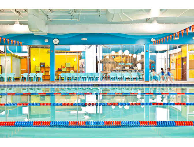 Two Months of Swim Lessons at Goldfish Swim School in Roscoe Village and a 1-yr membership