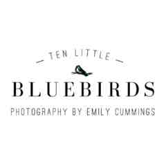 Ten Little Bluebirds Photography
