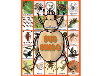 Fly Trap Fiends and Bug Bingo
