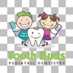 Tooth Buds Pediatric Dentistry
