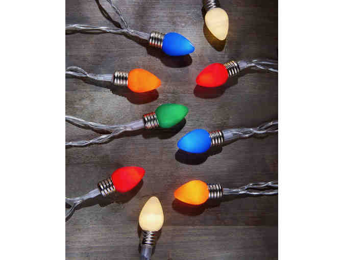 10-Ft. LED String Lights Vintage-Inspired Novelty Bulbs -- New