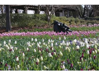 Culture and Horticulture - The Women's Museum and Dallas Arboretum