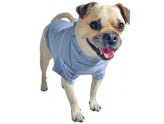 $25 Gift Certificate to Eco-Pup Dog Clothing!
