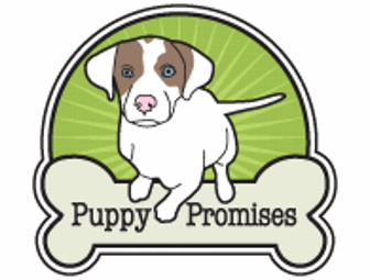 Sponsor a Puppy Promises puppy (1 of litter of 7)