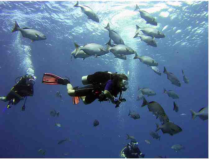 All inclusive scuba diving & 7 nights at Turquoise Bay Resort, Roatan, Honduras