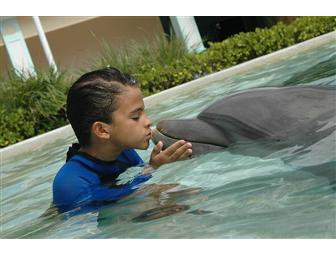 Miami Seaquarium-Two Dolphin Encounter Experience Gift Certificates