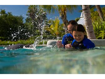 Miami Seaquarium-Two Dolphin Encounter Experience Gift Certificates