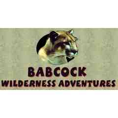 Badcock Wilderness Adventures