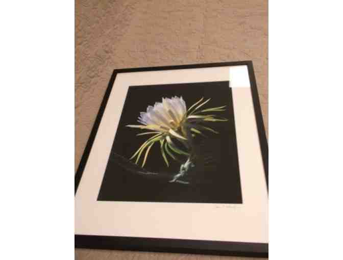 Photograph of Flower Signed by Photographer John Schaefer