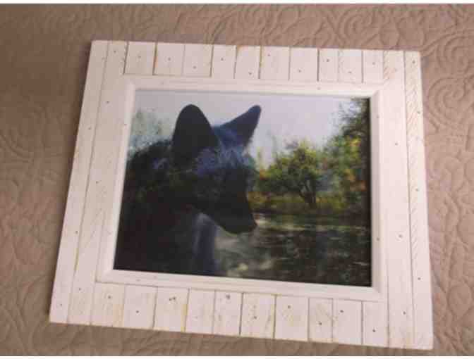 Fine Art Framed Photograph Titled 'Black Fox'