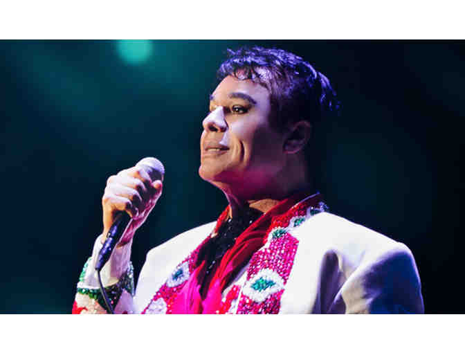 Luxury Suite at Juan Gabriel Concert at American Airlines Center (18 tickets!)