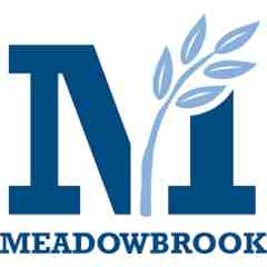 Meadowbrook Day Camp