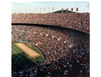 Set of Historic VOLS Letters from Neyland Stadium