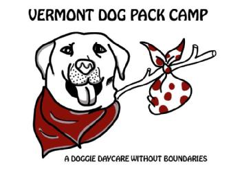 4-hour sessions with Vermont Dog Pack Camp