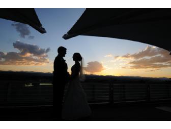 Colorado / Wedding Photography $5,000 Value